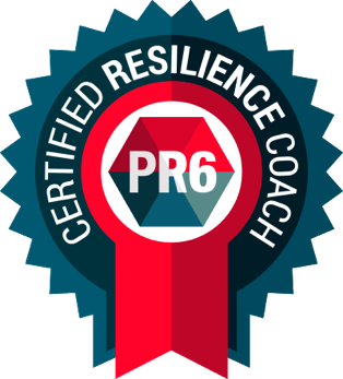 PR6 Badge